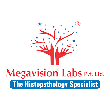 Megavision Labs